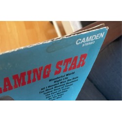 Flaming Star (USA-1969)