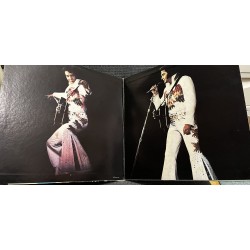 Elvis In Concert (1977)