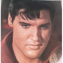 Elvis Aron Presley 25th Anniversary Edition - 8 LPs