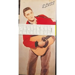 Elvis Rock And Roll Album (2 LPs)