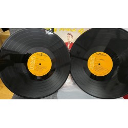 Elvis Rock And Roll Album (2 LPs)